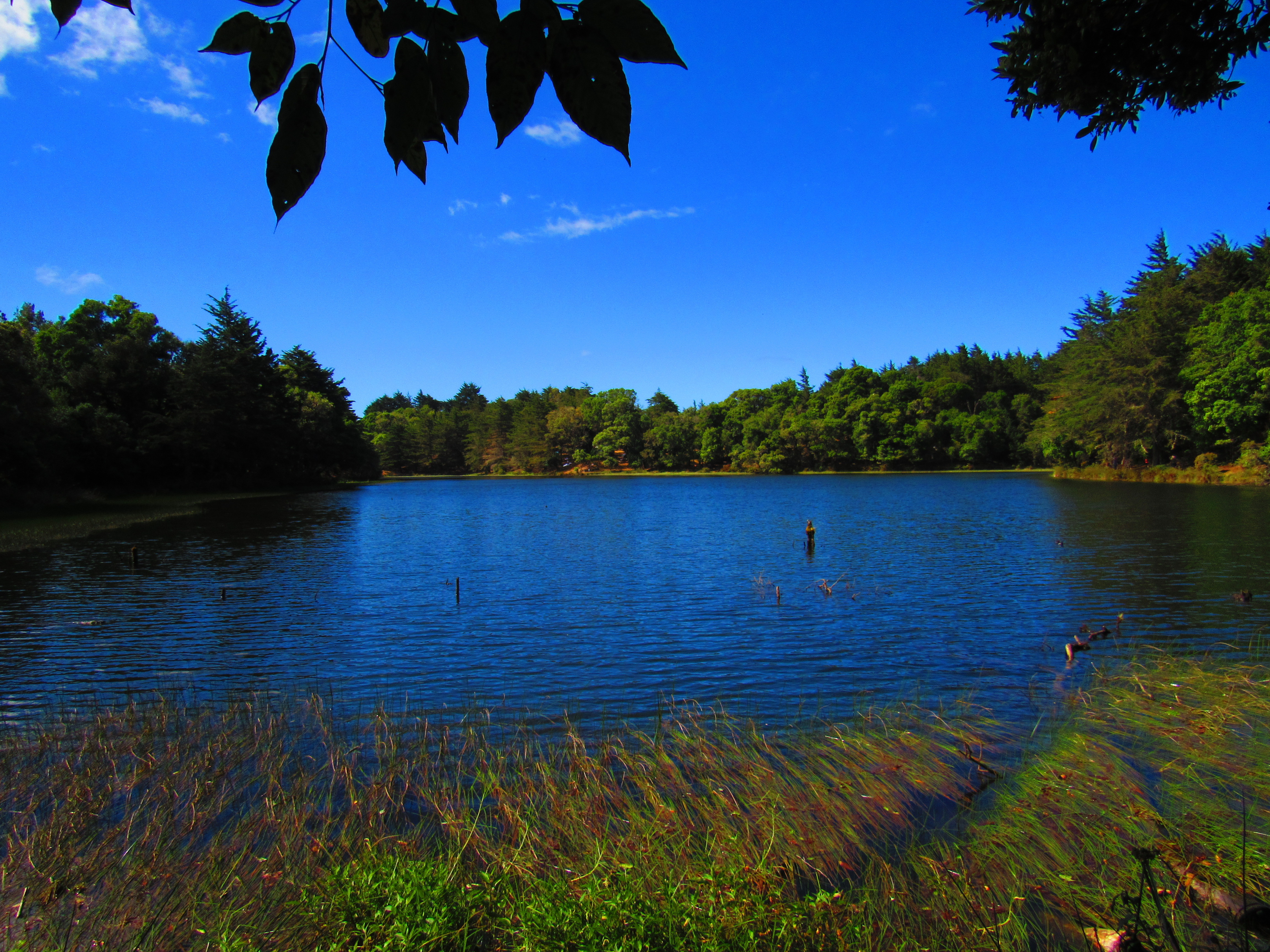 Laguna don Manuel