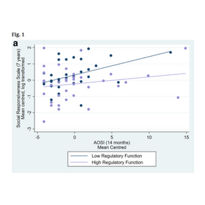Common risk factors in neurodevelopmental disorders