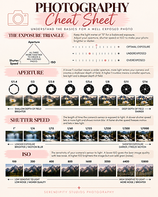Photography Education for Beginners _ Photography Education with Alexandria.png