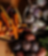 Screen Shot 2025-05-24 at 9.47.22 AM.png