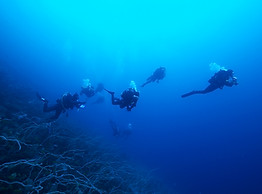 Scuba Divers Deep Sea