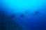 スキューバダイバー深海