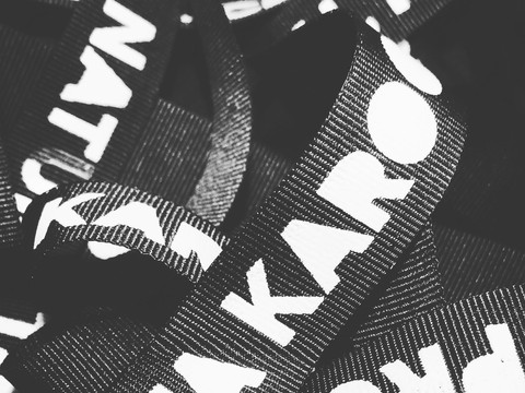 TKNP branding_1.jpeg