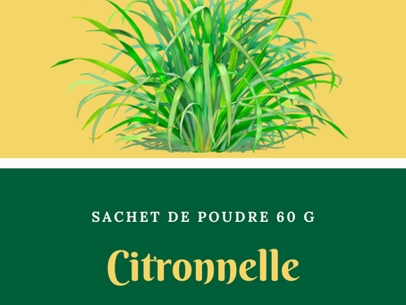 Natura Plantes®: Citronnelle