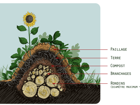 La Permaculture ce n'est pas...