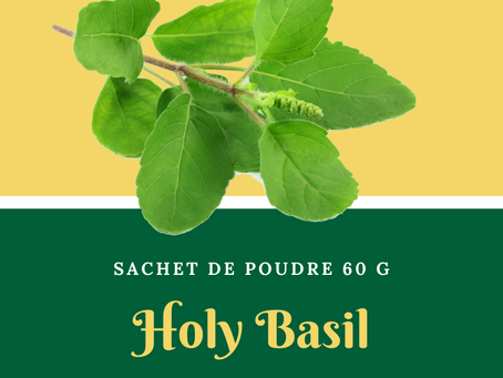 Natura plantes: Holy Basil