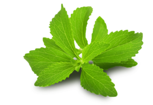 Natura plantes : Stevia