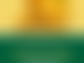 Natura Plantes®: Curcuma