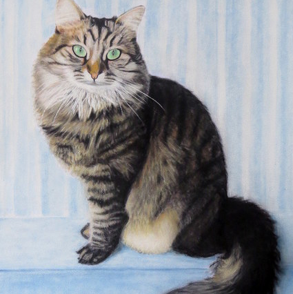 Wout de Jong