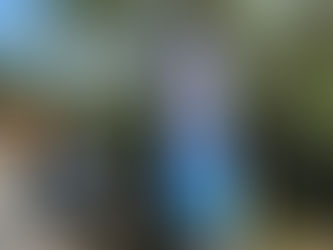 Summer sizzler BBQ get together!