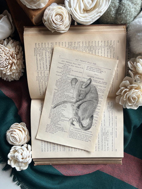  charcoal drawing of a mouse on a book page from Tennyson's poem "All Things Will Die" in "The Poetical Works of Alfred Lord Tennyson" printed in 1885