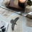 Thumbnail: The Blackbird