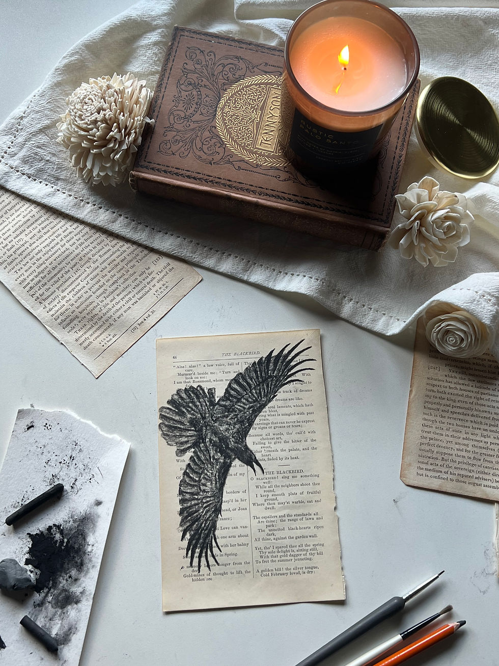 The Blackbird