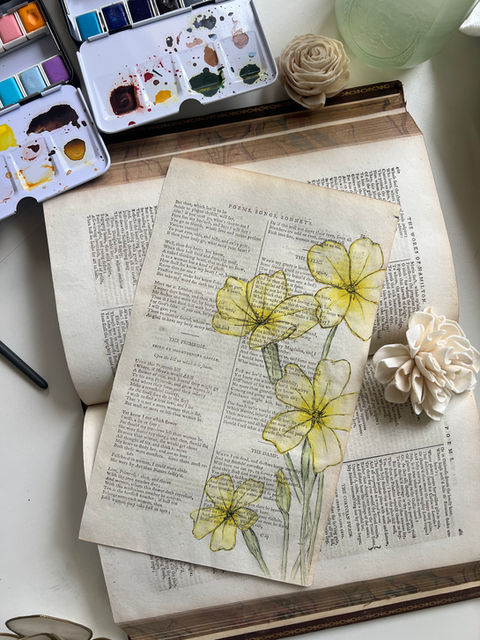 mixed media drawing of a primrose flower on a book page from "The Works of the British Poets" printed in 1795