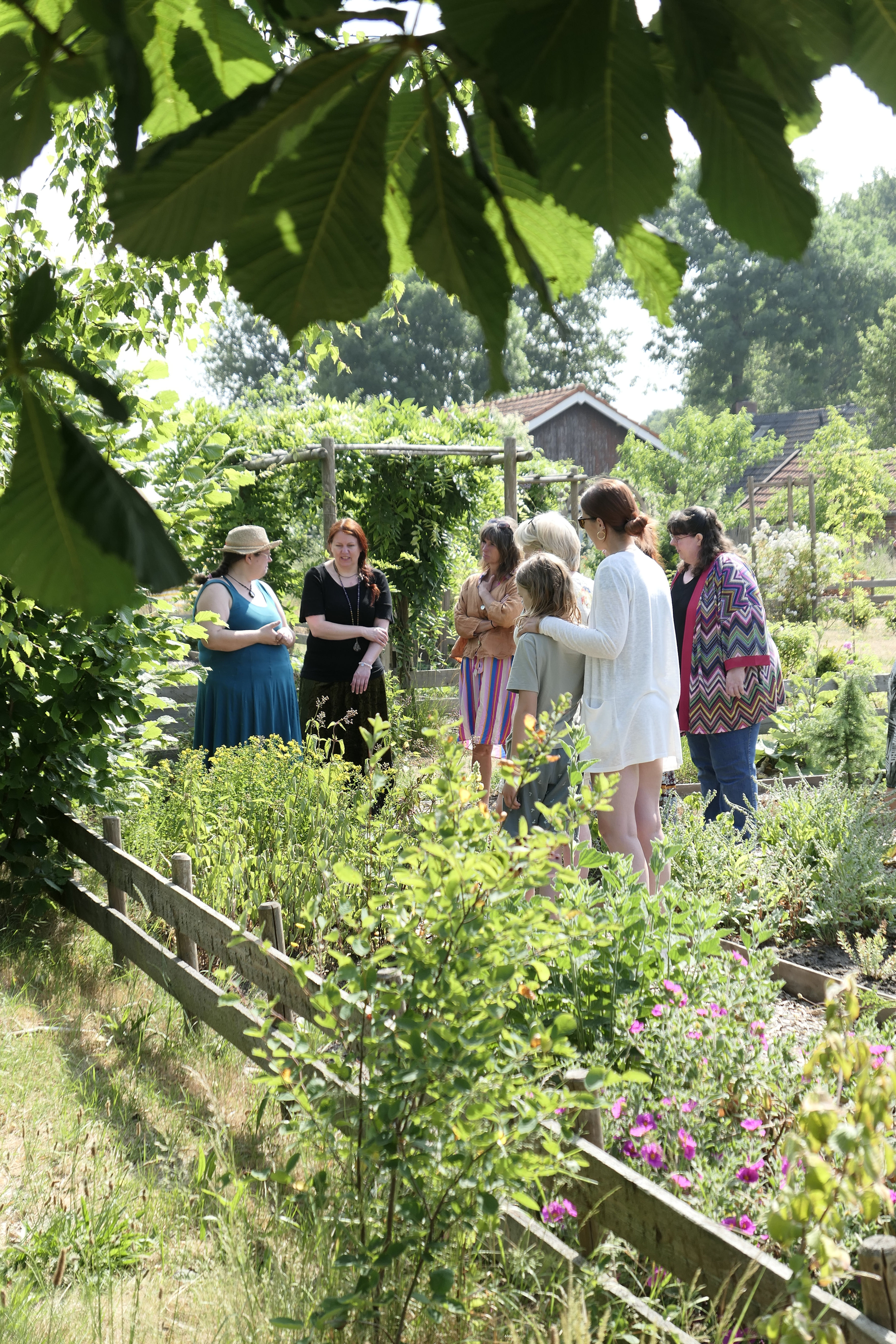 Open dag - Opleiding Herborist - Fytotherapie 1