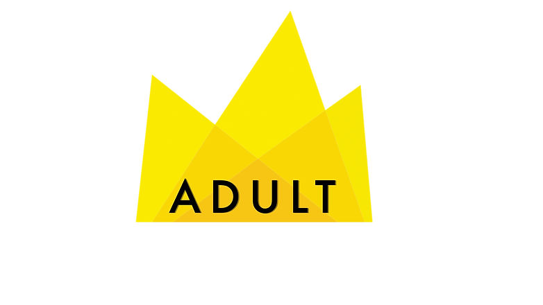 Classes by Age Adult.jpeg