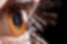 images (4).jpeg