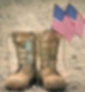 Operation Buddy Check