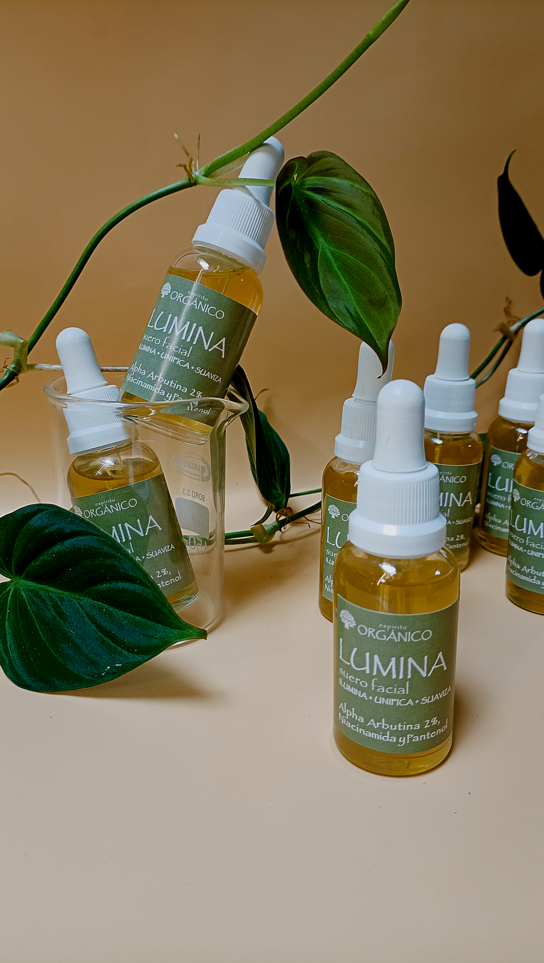 Anti-Wrinkle Serum