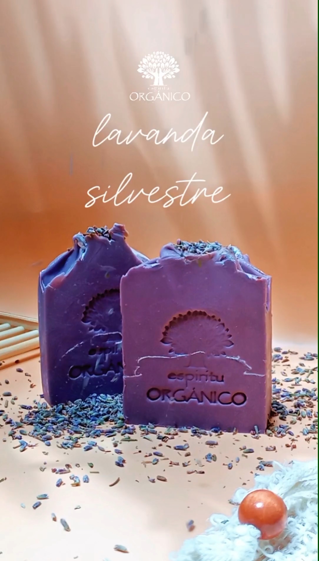 Lavanda Silvestre