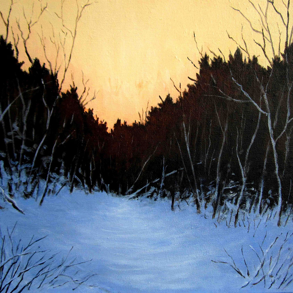 Forest Light