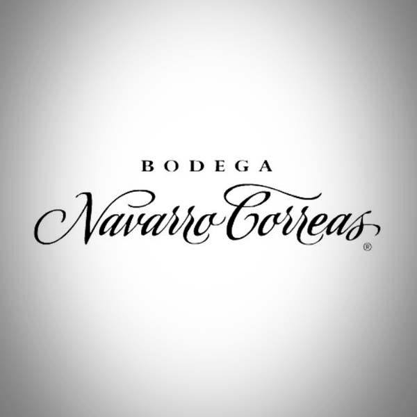 Navarro Correa