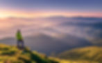 iStock-1341839326.jpg