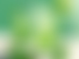 Virgin Mojito Twist – Refresh Your Palate with a Wellness Boost!