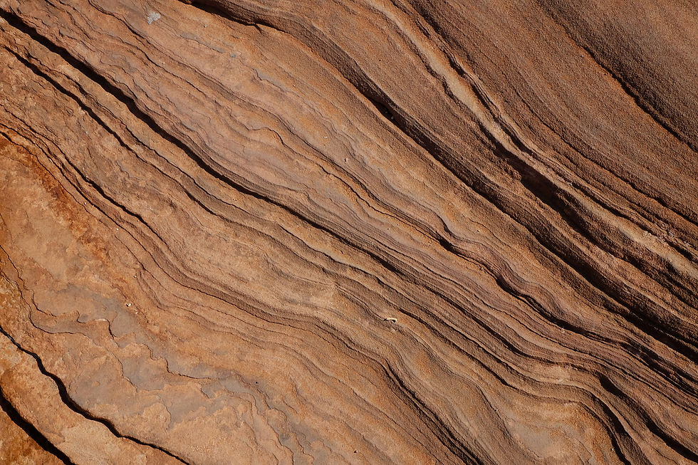 woodtexturebgrd.jpg