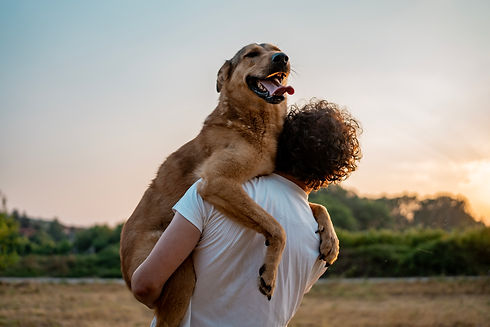 dog-hugging-man.jpg