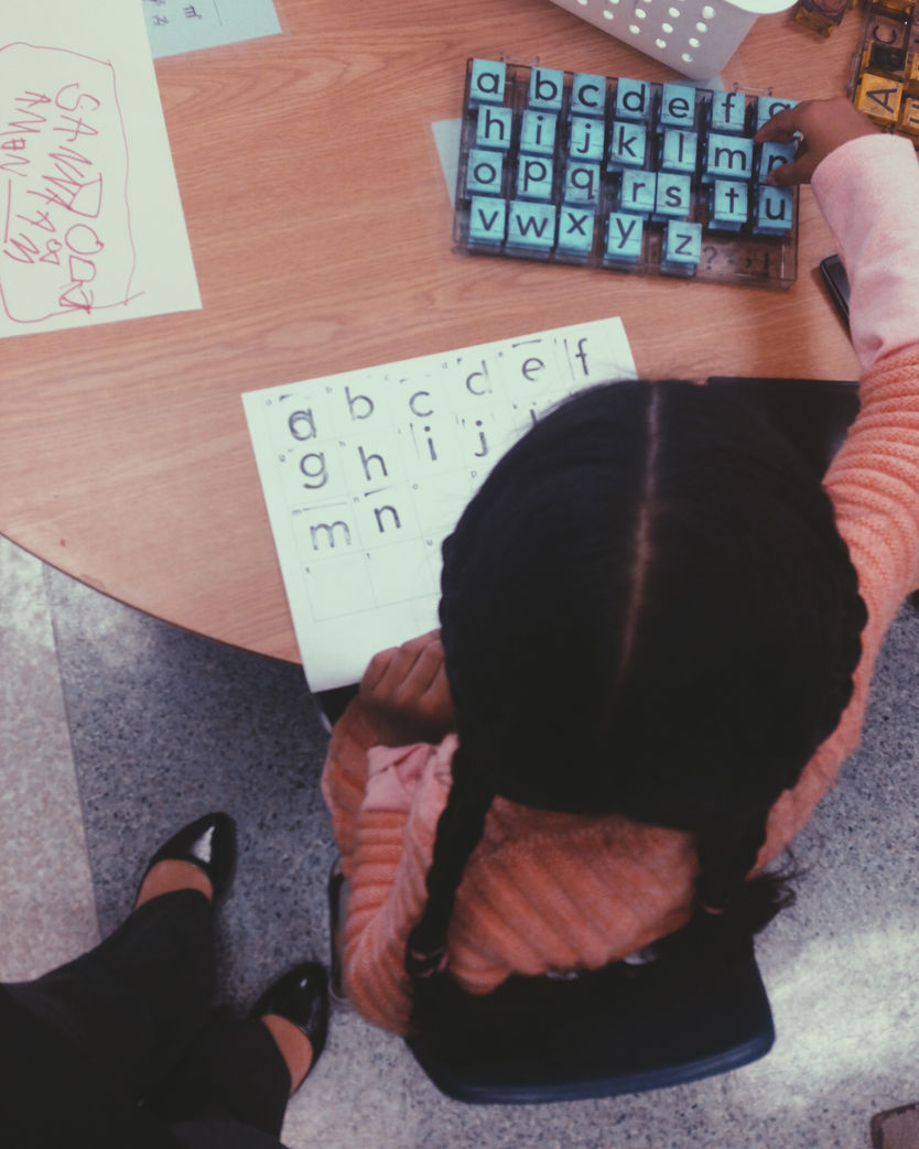 New Beginnings & New Homes