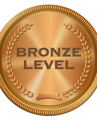bronze-image_orig.jpg