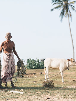 ATLAS_SRI LANKA_ JACK7803_edited.jpg