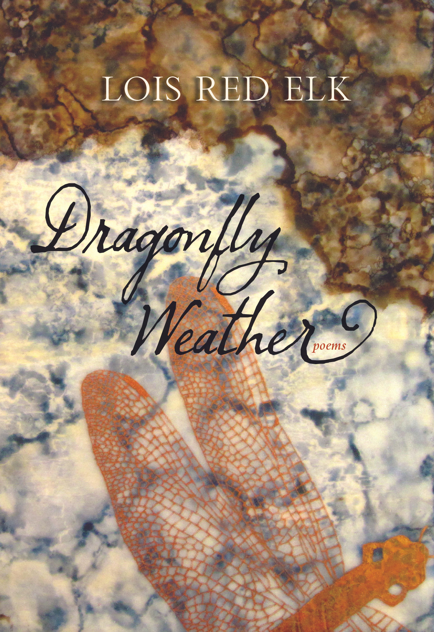DRAGONFLY WEATHER