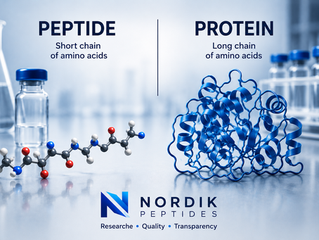 Scientific illustration comparing a peptide and a protein, highlighting the differences in amino acid chain length and molecular structure in a laboratory research setting.