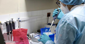 Pathogen Access & Benefit Sharing - a sticking point for INB9