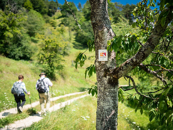 Baum mit Bodensee Schild und zwei Wanderer im Hintergrund