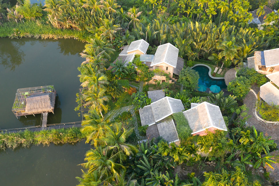 Lanterns and Lifeforce - A journey to Hoi An, Vietnam
