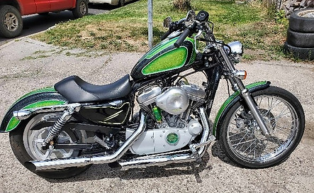 custom sportster
