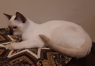 20210105_192633.jpg