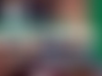 破產限制多個範疇