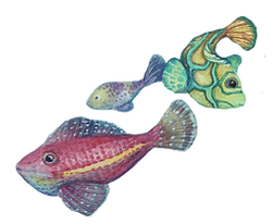 Wisom of the Ocean Illustration.png