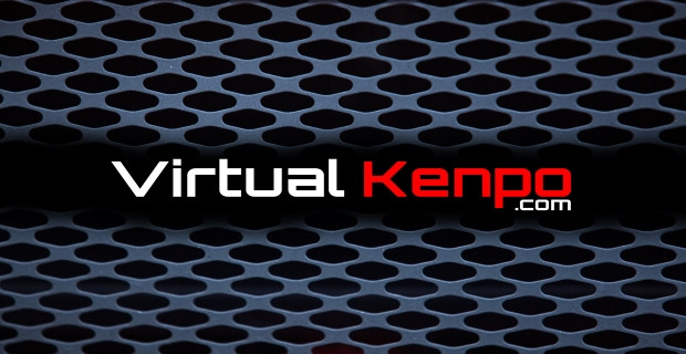 Virtual Kenpo