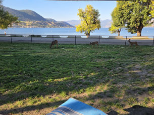 Vernon (Okanagan Valley)