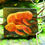 Thumbnail: Mini Mushroom #2 Original Artwork