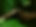 D3BDCD05-896C-4DE1-B1DF-09815BAD6181_1_102_o.jpeg