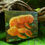 Thumbnail: Mini Mushroom #2 Original Artwork