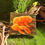 Thumbnail: Mini Mushroom #2 Original Artwork