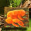 Thumbnail: Mini Mushroom #2 Original Artwork