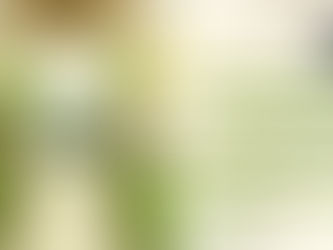 How to Organize Your Kitchen Cabinets